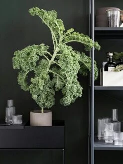 Ferm LIVING Plant Box Blumenkasten 60x65 Cm, Schwarz 9 Ferm LIVING Plant Box Blumenkasten 60x65 Cm, Schwarz -SitzEleganz Geschaft ferm living plant box 29