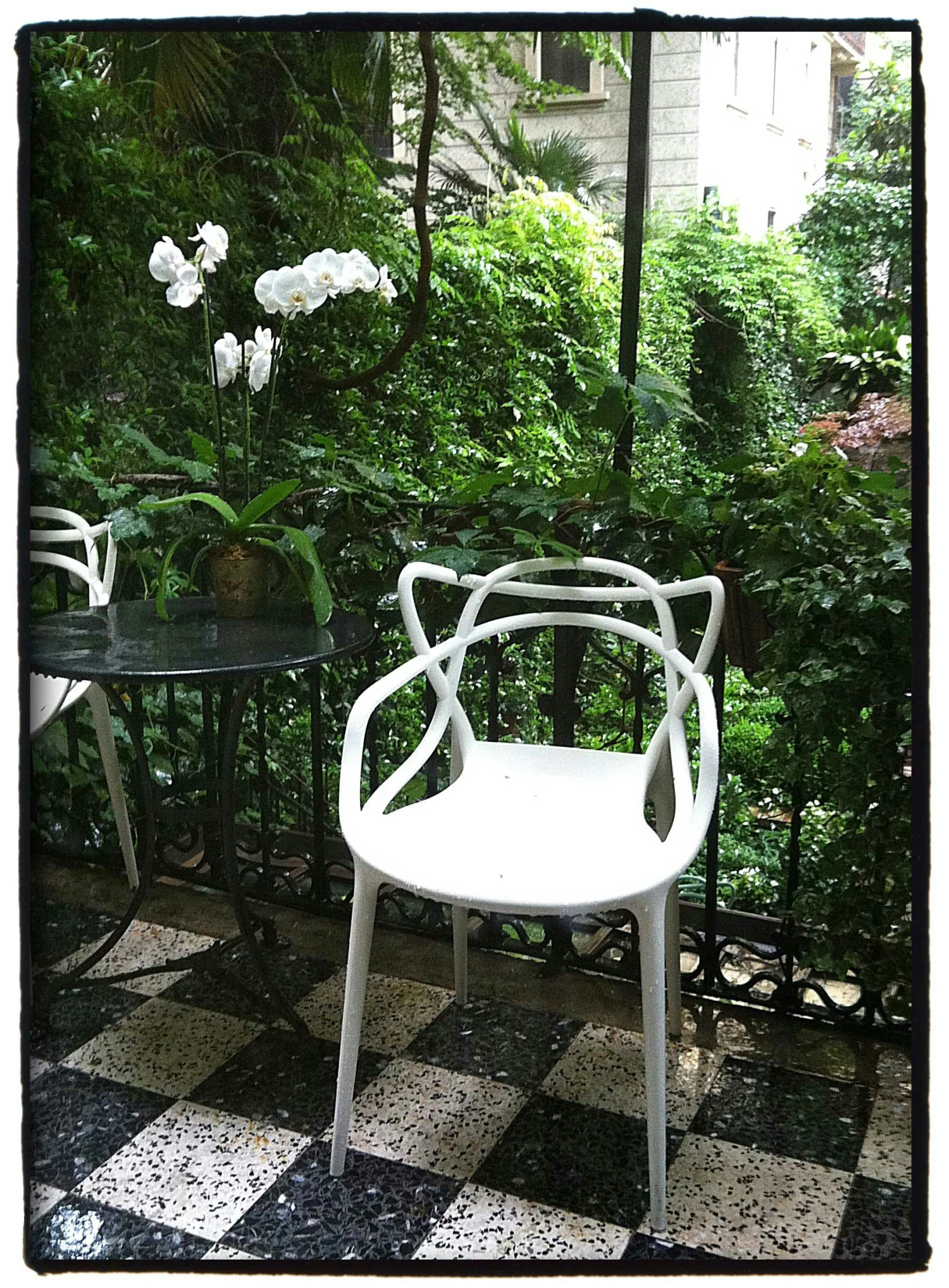 Kartell Masters Stuhl, Senf 6 Kartell Masters Stuhl, Senf – Bild 6