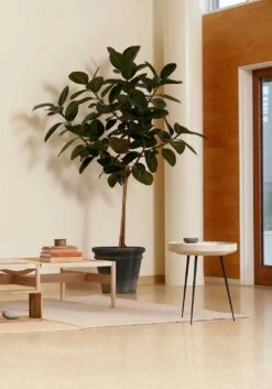 Mater Bowl Kaffeetisch Medium Ø 46 Cm, Wood Waste Grey 9 Mater Bowl Kaffeetisch Medium Ø 46 Cm, Wood Waste Grey -SitzEleganz Geschaft mater bowl table medium coffee black 12