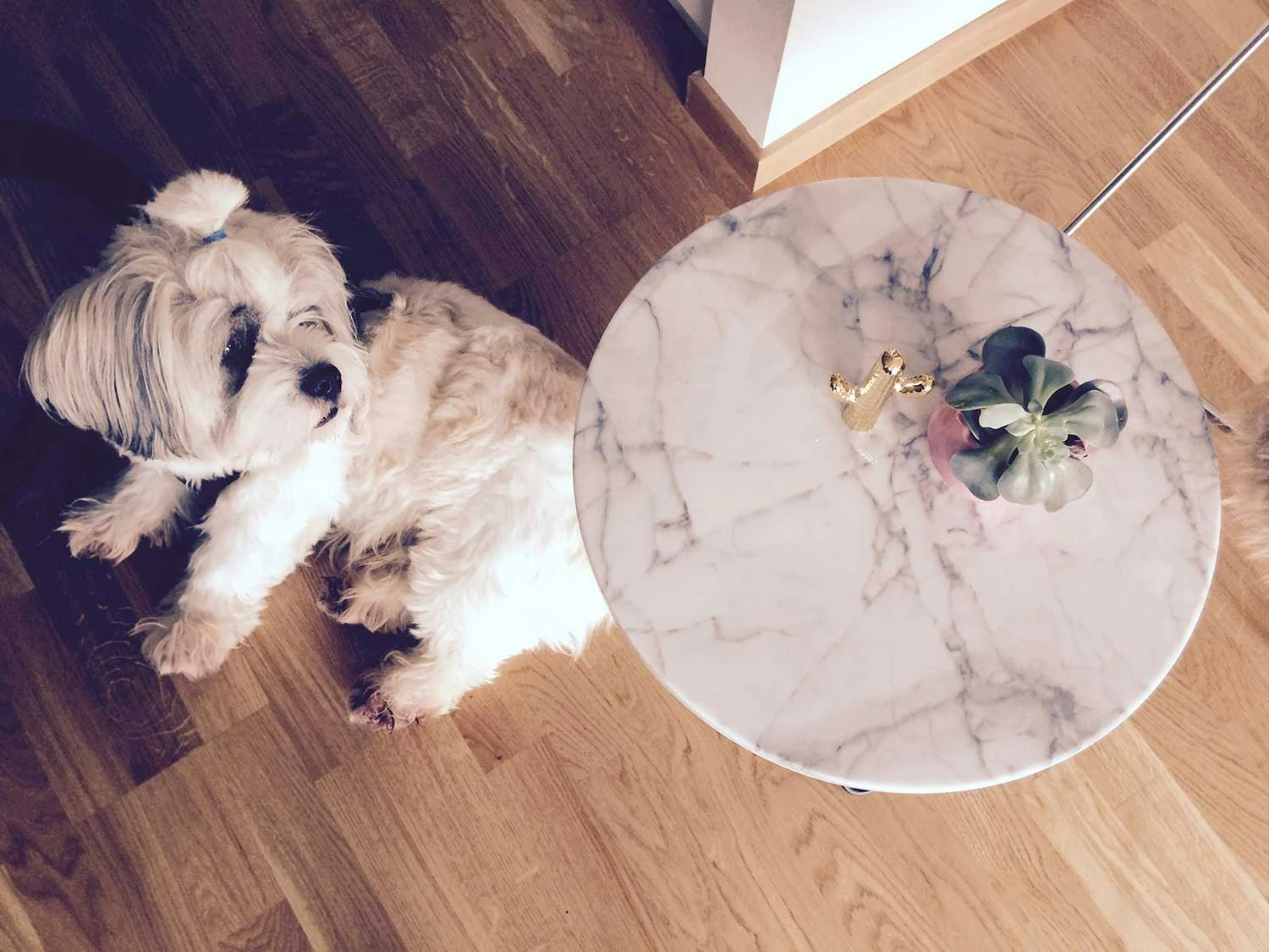 OX Denmarq Mini O Beistelltisch, Messing/ Grün Glas 3 OX Denmarq Mini O Beistelltisch, Messing/ Grün Glas – Bild 3