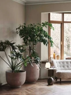 &Tradition Little Petra Sofa Vb2, In Geöltem Walnussholz / Schafleder Moonlight 7 &Tradition Little Petra Sofa Vb2, In Geöltem Walnussholz / Schafleder Moonlight -SitzEleganz Geschaft tradition little petra sofa vb2 in geoltem walnussholz 4